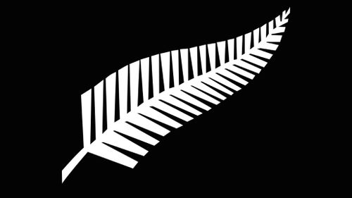 New Zealand's new flag? PM wants design based on All Blacks strip