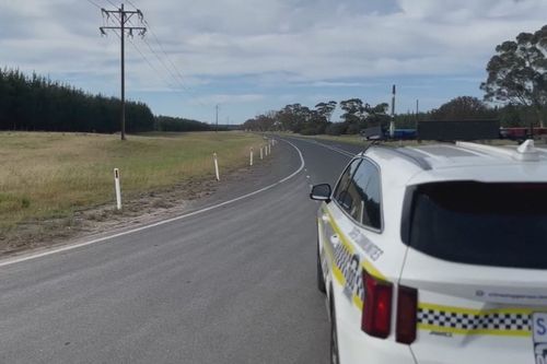 Boy killed in SA highway crash after car hits emu