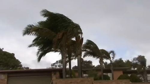 There have been more than 180 SES callouts across South Australia after damaging winds wreaked havoc across the state.