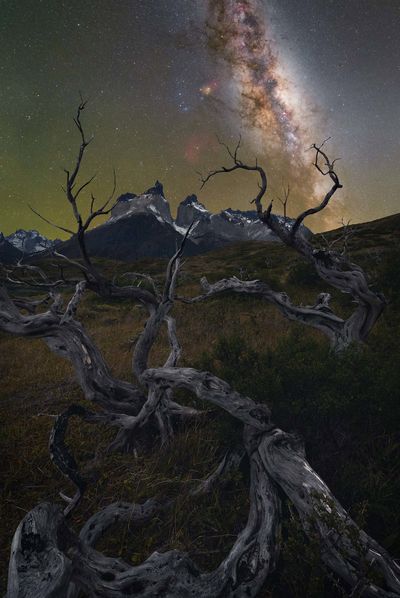 'A Sky Full of Stars In Patagonia'