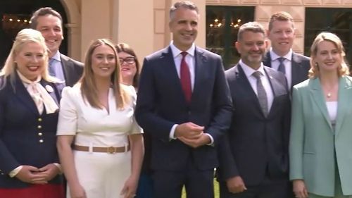 SA cabinet