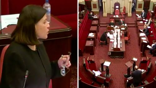 Health Minister Jenny Mikakos speaks to the Victorian Parliament 