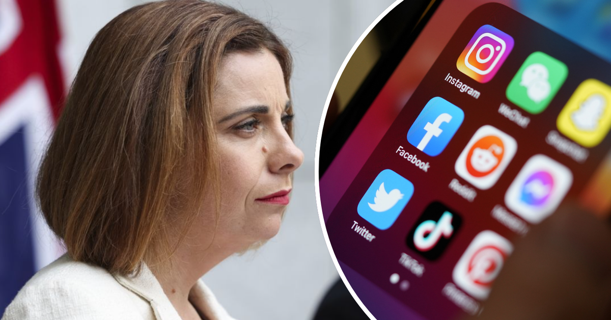 Social media ban: NSW MP John Ruddick files High Court action ...