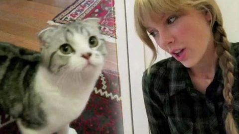 Watch: Taylor Swift uses her cute kitten to drum up votes for the Country Music Awards