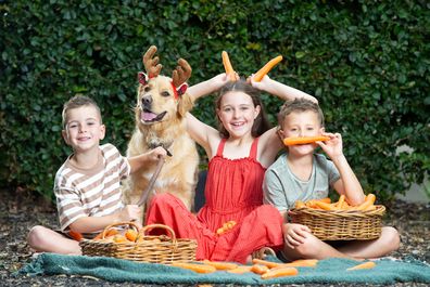 Finley Tucknott, 5, Tayah Tucknott, 9 and Makiah Tucknott, 6, with Ripley the dog, in Warranwood on December 18th, for the Coles free reindeer carrots promotion. PICTURE : Nicki Connolly