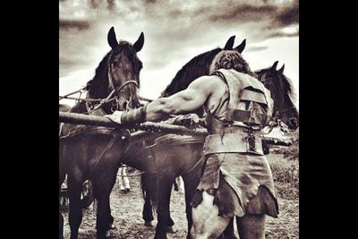 "MY RIDE. An honour having these magnificent Friesians leading my chariot into battle daily. They work hard, have massive appetites and have the look of 'if you don't want trouble just pass me on by.' #MyKindOfAnimals #InAweOfTheirPowerAndBeauty #HERCULESMovie"