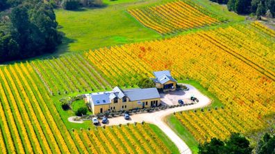 Winery regional rural Victoria Mornington Peninsula Melbourne property real estate commercial 