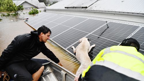 A man and his dog are rescued from a roof in Lismore, NSW.