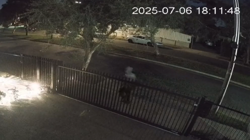 CCTV of a man who allegedly assaulted a woman and young child.