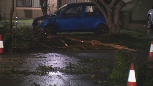 Chuva de Perth e clima selvagem