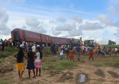 A train is derailed after striking an number of elephants.