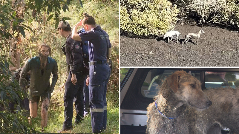 Woman mauled by dogs undergoes surgery as pet fights for life | Nine.com.au