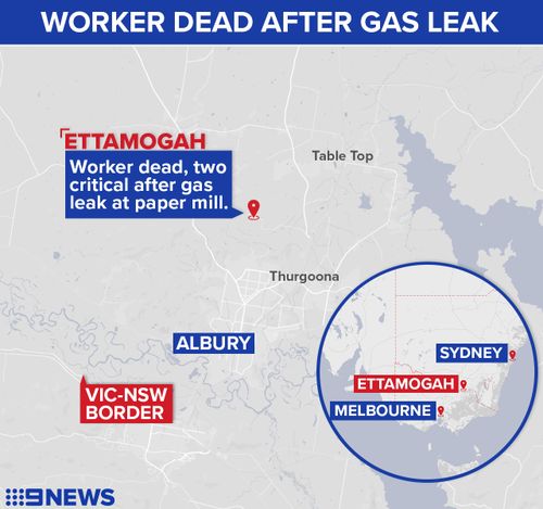 The deadly incident unfolded at the Norske Skog site in Ettamogah. (9NEWS)