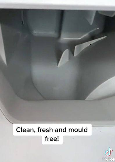 Cleaning hack toothpaste washing machine mould