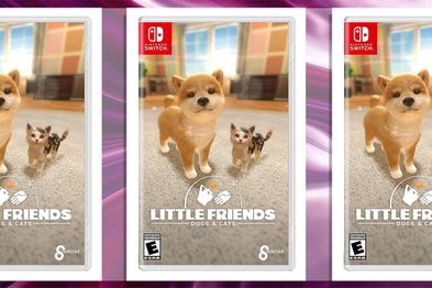 9PR: Little Friends: Dogs & Cats Nintendo Switch game cover