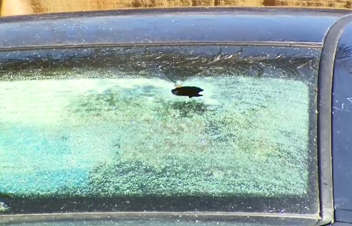 A bullet hole was seen in a car at the property. 