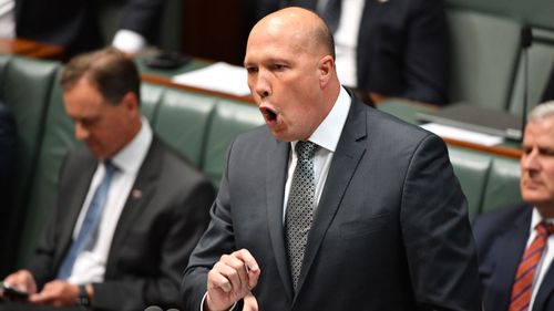 Labor's Medivac bill will put asylum seekers ahead of Australians on hospital waiting lists, Peter Dutton has claimed.