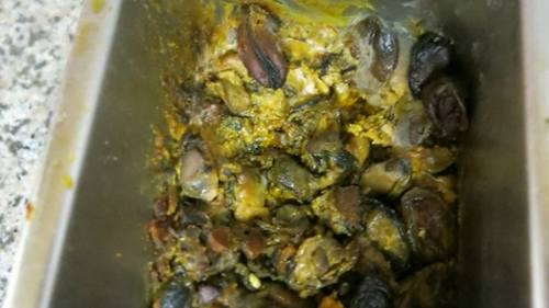 Council inspectors found mouldy, uncovered food, and dirty equipment. 