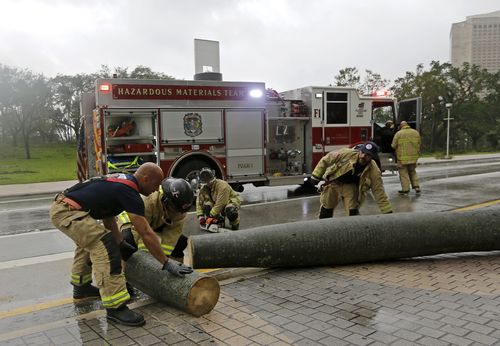 A City of Miami Fire and Rescue crew cuts up a fallen palm tree during Hurricane Irma, as they clear the street. (AP)