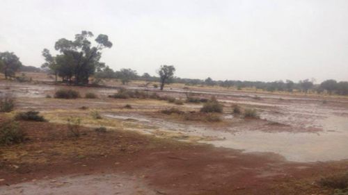 Farmers welcome the big wet but fear it's not enough to break the drought