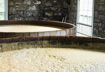 Bourbon is produced from a mash of not less than 51 percent of which grain?