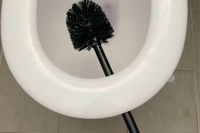 Clean your toilet brush
