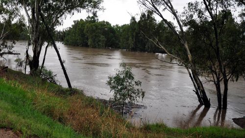 Police to resume search for man missing in Murrumbidgee River