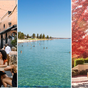 'Adelaide is the best holiday spot in Australia - here's why'