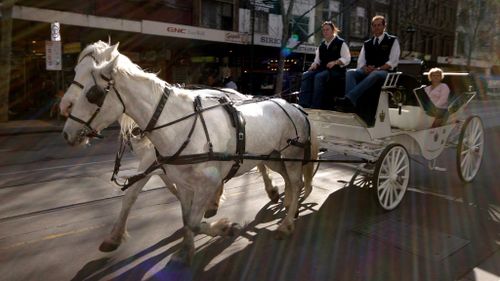 Horse-drawn carriages will no longer be permitted to operate in Melbourne's CBD. (AAP)
