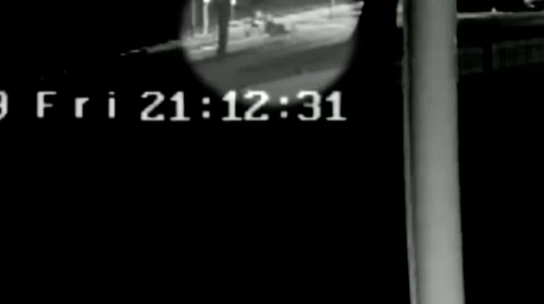 CCTV footage showed the two brothers cross the road towards the water at the Woy Woy Ferry Wharf.