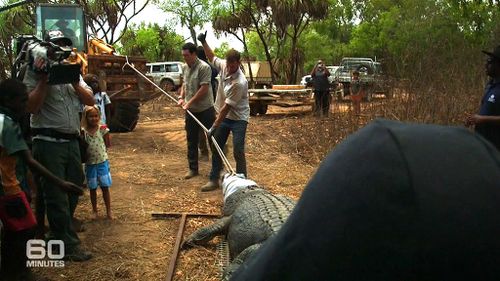 A bulldozer and a 4WD were needed to help winch the animal away from the waterhole. (60 Minutes)