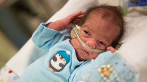 Brain-dead woman kept alive for 54 days gives birth