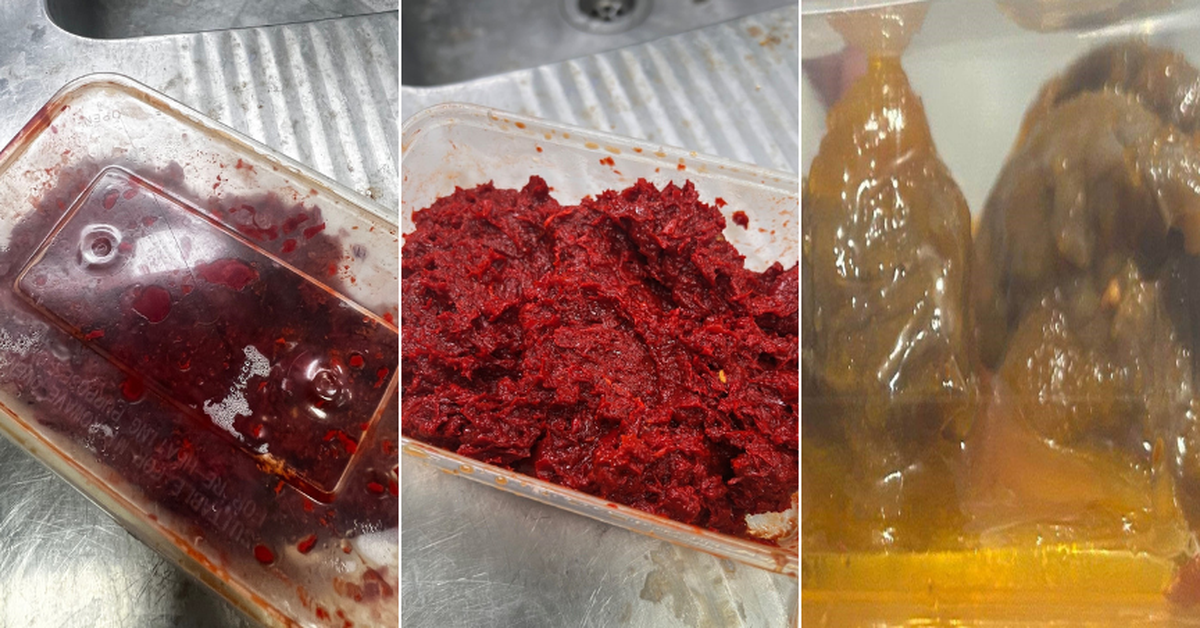 Homemade food products believed to be linked to Queensland rat poisoning ...