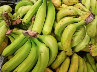 Yellow and green bananas on the shelves of a grocery supermarket