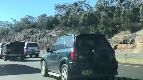 Drivers on the M1 Motorway north of Sydney are facing significant delays after a motorcyclist was hit by a falling tree. Picture: Supplied.