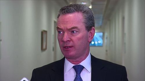 Defence Industry Christopher Pyne told 9NEWS the Triton drones can spend more time in the air covering a greater surface area, and will therefore boost Australia's defence, surveillance and reconnaissance capabilities. Picture: 9NEWS. 