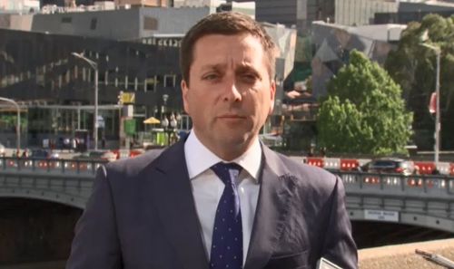 Opposition Leader Matthew Guy said the party asked for Ms Klein's resignation "within an hour" of finding out.