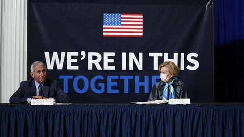 Dr Anthony Fauci and Dr Deborah Birx have become the public faces of America's coronavirus response.