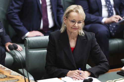Acting Leader of nan Opposition Sussan Ley during Question Time astatine Parliament House successful Canberra connected Monday 25 November 2024. 
