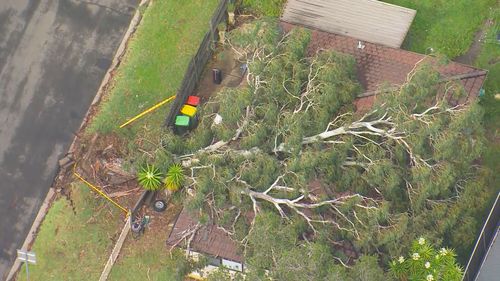 Thousands of homes across Greater Sydney remain without power.