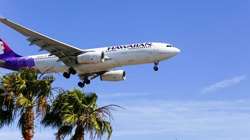 Hawaiian Airlines 