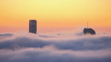Thick layer of fog creating hazardous conditions for Brisbane commuters
