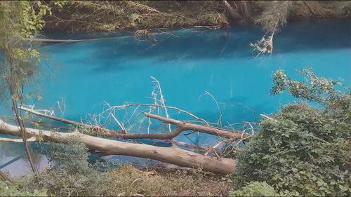 Parts of Toongabbie Creek ﻿turned aqua blue last week in a phenomenon that puzzled locals and authorities.