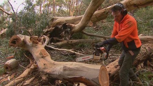 Victoria storms floods