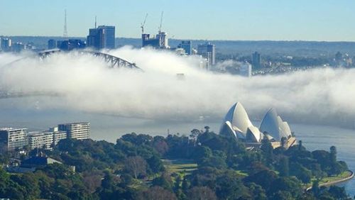 Beautiful pictures of the fog popped up as Sydney woke up to it covering the city. Picture: Instagram @katyalexandercreative