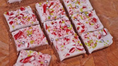 9Honey Kitchen's Christmas after dinner candy cane mint slice hack