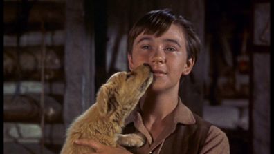Tommy Kirk stars in Old Yeller.
