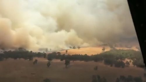 The fire near Dunedoo. (9NEWS)
