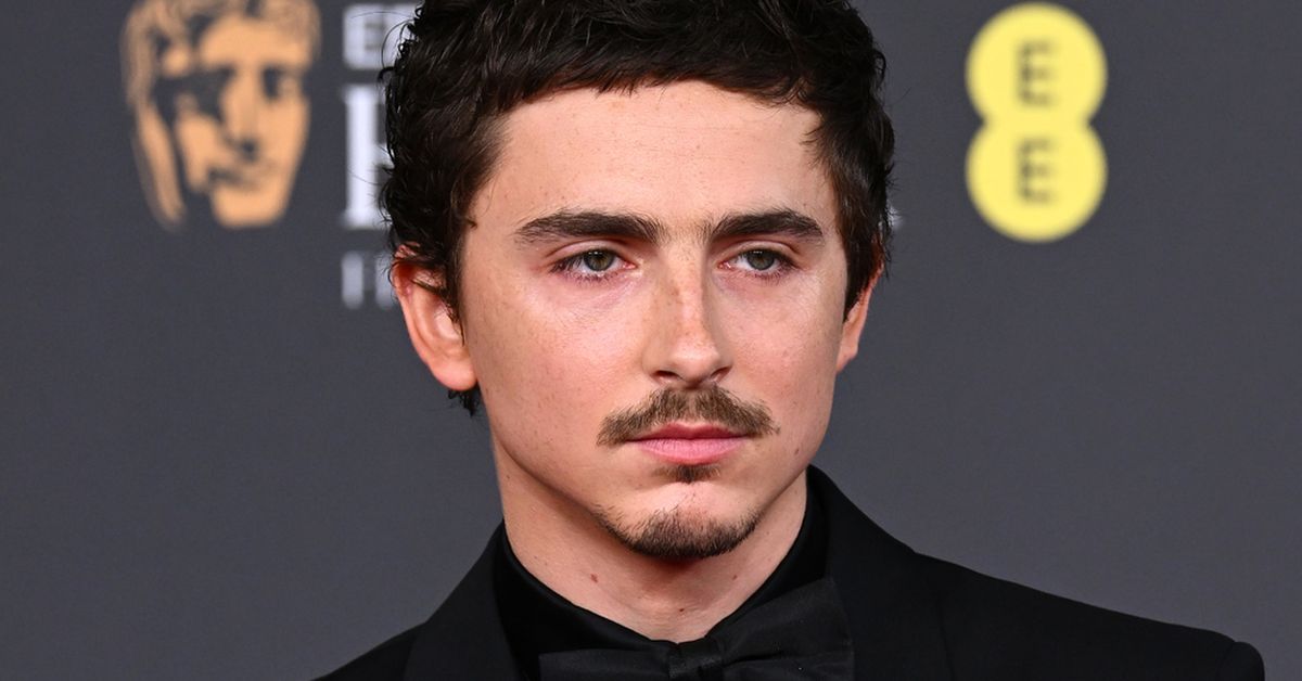 Oscar nominee Timothée Chalamet under fire for interview comment