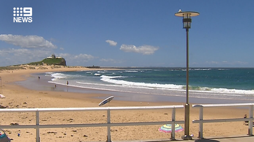 Newcastle beaches closed due to sharks